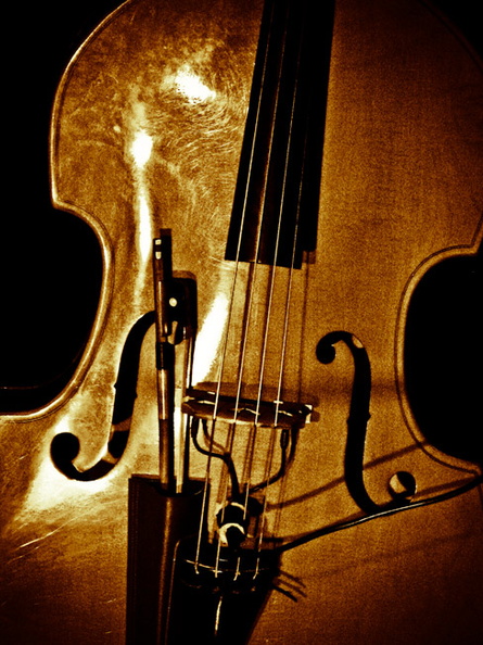 violoncelle_0275_R_R2.jpg