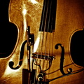 violoncelle 0275 R R2